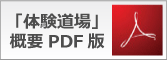 ���ڂĂ��イ�̌�����PDF��